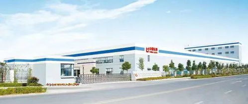 安徽省技術(shù)標(biāo)準(zhǔn)創(chuàng)新基地（新型顯示膜材料）通過(guò)驗(yàn)收，新型膜材料制造獲重大突破
