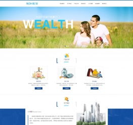 股權投資財富管理網站模板 移動端與咨詢功能